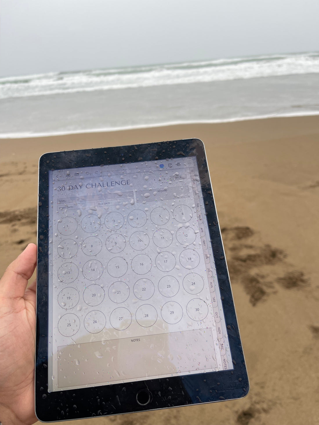 A digital system designed to help you stay focused, organized, and intentional as you move through your journey in 2026.